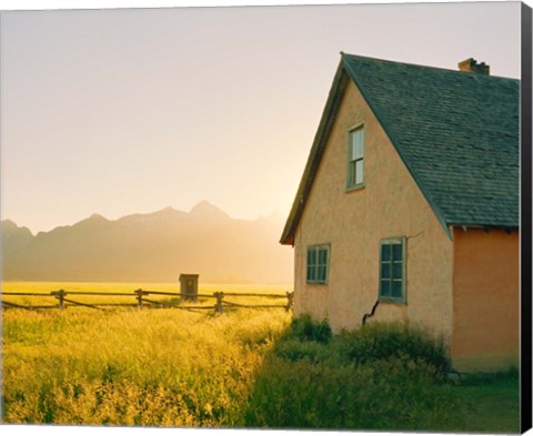 Framed Golden Tetons Print