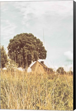 Framed Grass and Sky Light Print