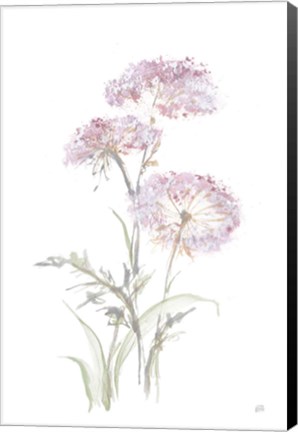 Framed Tall Queen Annes Lace III Print