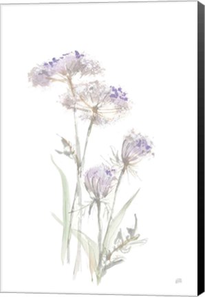 Framed Tall Queen Annes Lace II Print