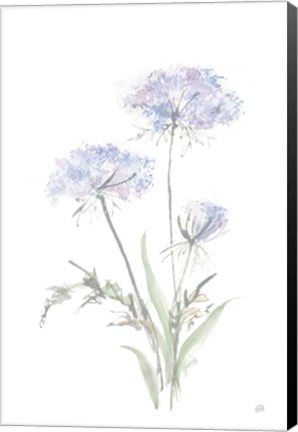 Framed Tall Queen Annes Lace I Print