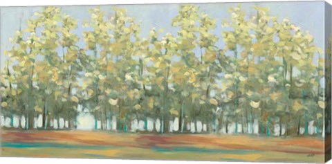 Framed Aspen Grove III Print