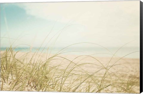 Framed Beach Grass V Light Print