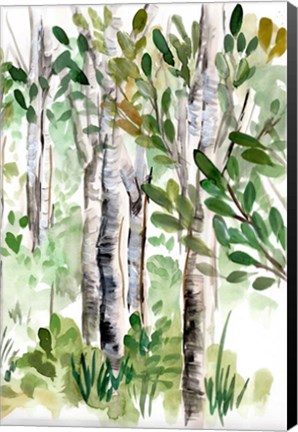 Framed Birch Forest II Print