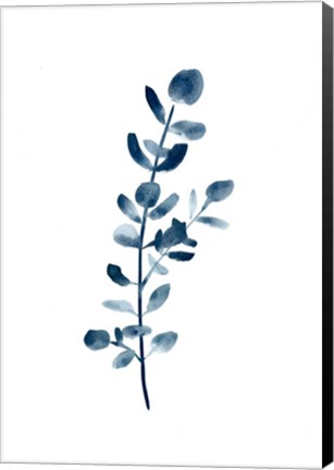 Framed Farmhouse Eucalyptus blue Print