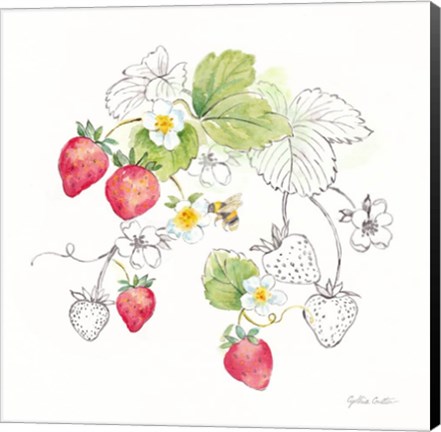 Framed Berries and Bees II Print