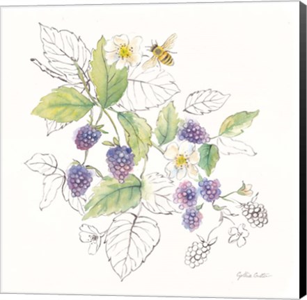Framed Berries and Bees III Print