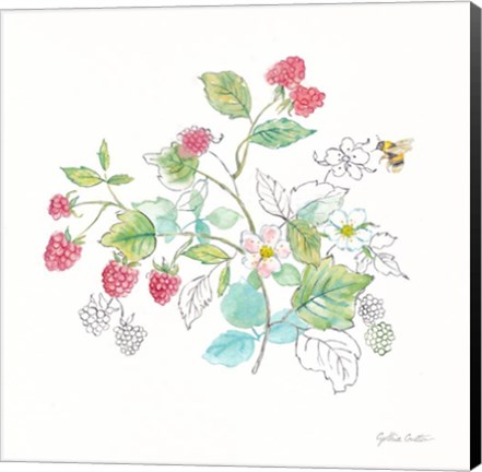 Framed Berries and Bees V Print