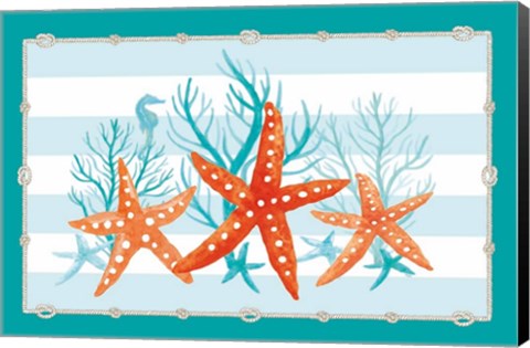 Framed Coral Aqua II on Teal Print