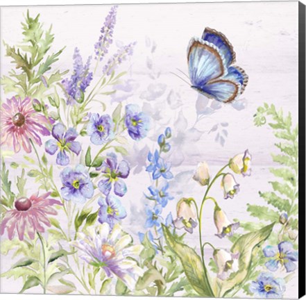 Framed Butterfly Trail II Print