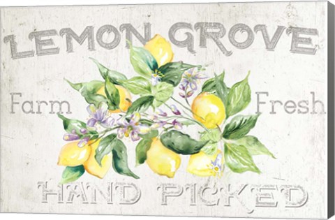 Framed Lemon Grove I Print