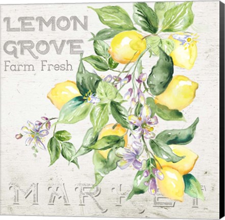 Framed Lemon Grove II Print