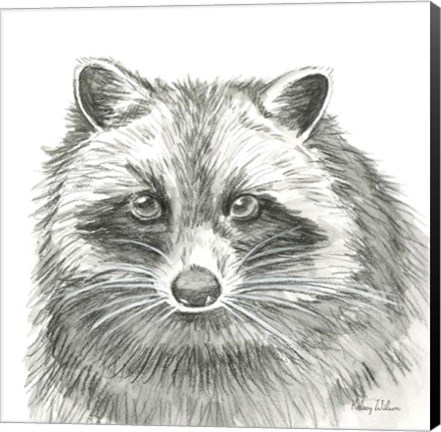 Framed Watercolor Pencil Forest VI-Raccoon Print