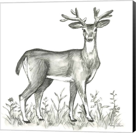 Framed Watercolor Pencil Forest XI-Deer 2 Print