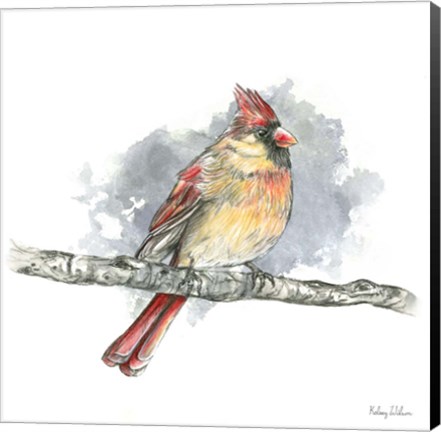 Framed Birds &amp; Branches II-Female Cardinal Print