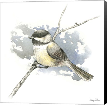 Framed Birds &amp; Branches III-Chickadee Print