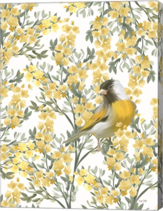 Framed Yellow Spring Finch Print