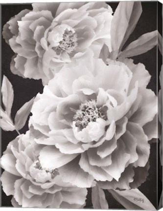 Framed Black and White Peonies Print