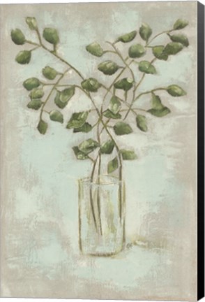 Framed Eucalyptus Print