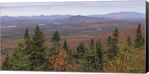 Framed Adirondack Panorama Print
