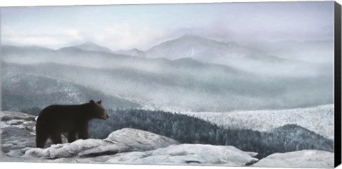 Framed Cascade Mountain Bear Print