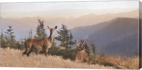 Framed Cascade Mountain Deer Print