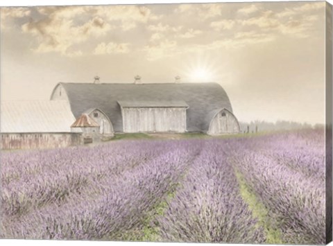 Framed Lavender Morning Print