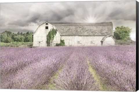 Framed Shades of Lavender and Gray Print