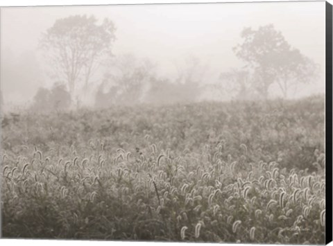 Framed Dreamy Field Print