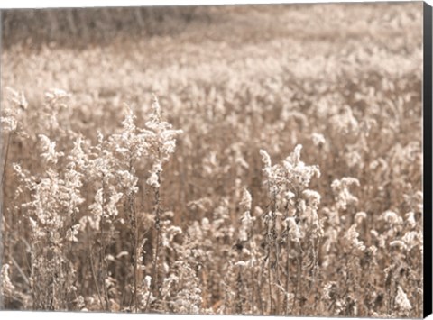 Framed Fall Field Print