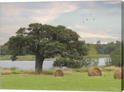 Framed Summer Hay Harvest Print