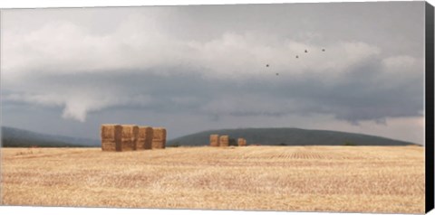 Framed Stormy Day Harvest I Print