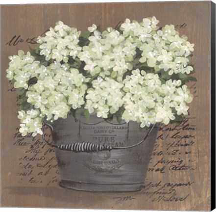 Framed Heavenly Hydrangeas II Print