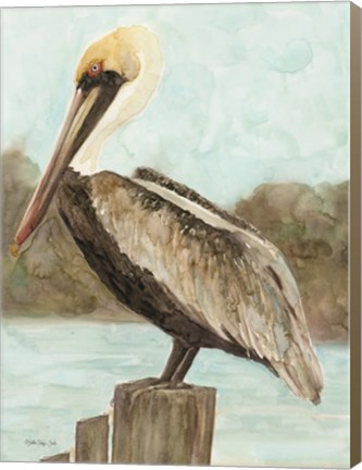 Framed Brown Pelican 3 Print