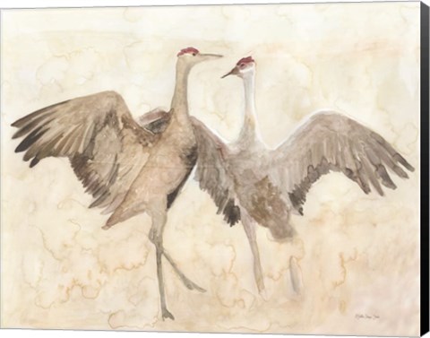 Framed Sandhill Cranes 1 Print