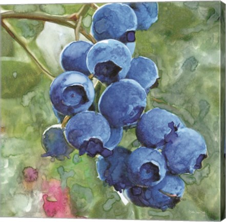 Framed Blueberries 4 Print