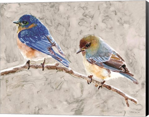 Framed Eastern Bluebirds 1 Print