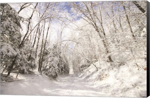 Framed Winter Storm Print