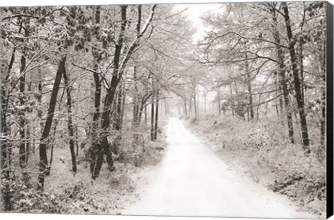Framed Snowy Lane Print