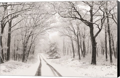 Framed Wintry Road Print