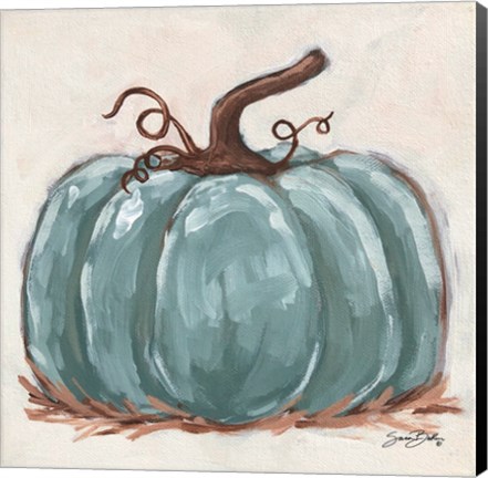 Framed Pumpkin Close-Up III Print