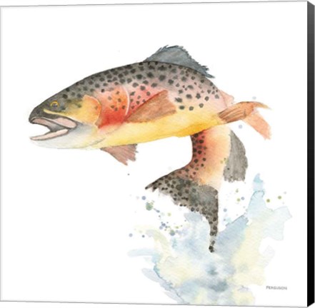 Framed Cutthroat Trout Print