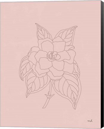 Framed Gardenia Line Drawing Pink Print