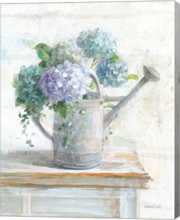 Framed Morning Hydrangeas II Print