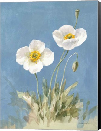 Framed White Poppies I No Butterfly Print