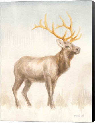 Framed Regal Wild I Print