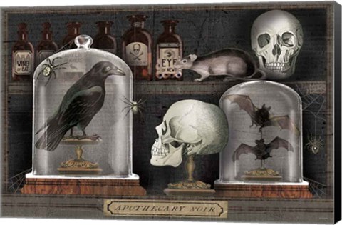 Framed Apothecary Noir V Print