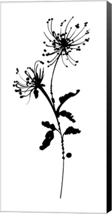 Framed Silhouette Floral IV Print