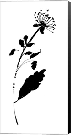 Framed Silhouette Floral III Print