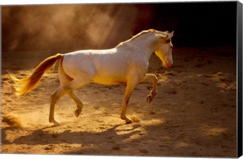 Framed Dancing In The Light Print